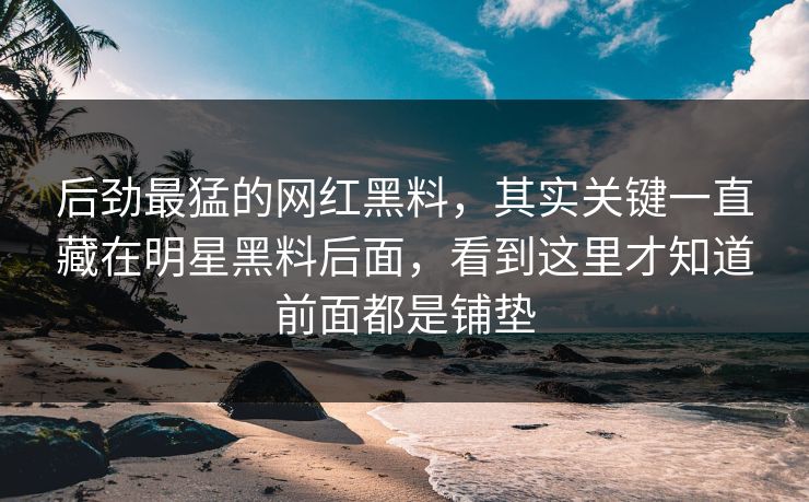 后劲最猛的网红黑料，其实关键一直藏在明星黑料后面，看到这里才知道前面都是铺垫