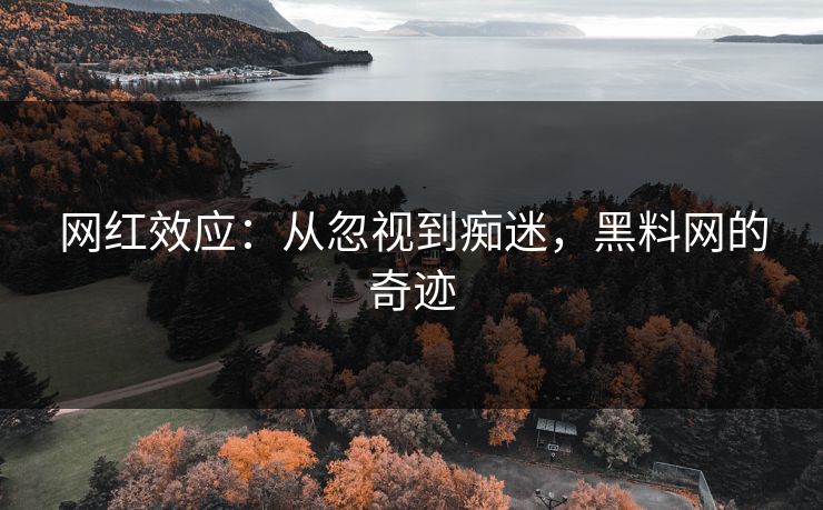 网红效应：从忽视到痴迷，黑料网的奇迹