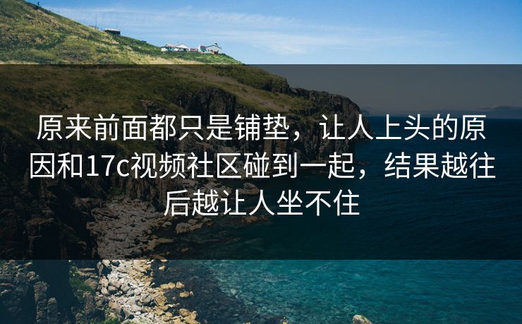 原来前面都只是铺垫，让人上头的原因和<strong>17C</strong>视频社区碰到一起，结果越往后越让人坐不住