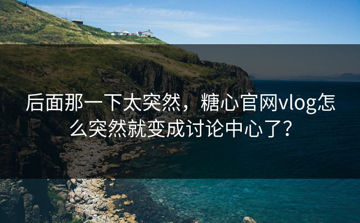 后面那一下太突然，糖心官网vlog怎么突然就变成讨论中心了？