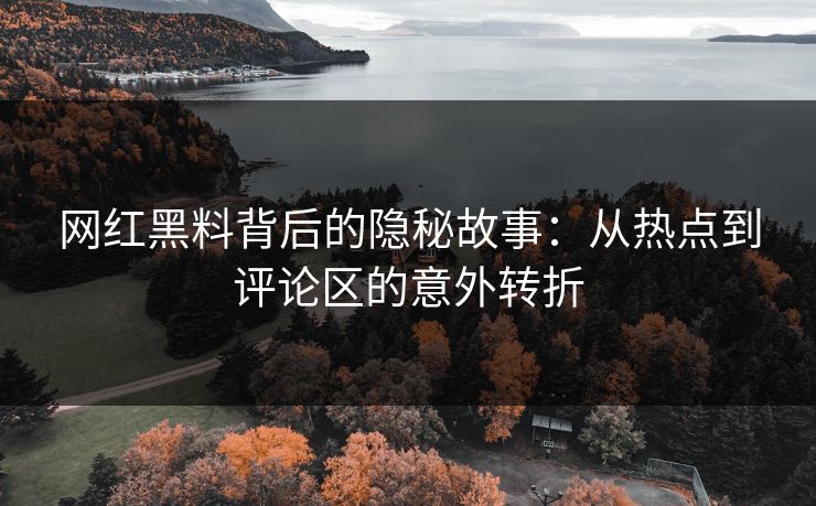 网红黑料背后的隐秘故事：从热点到评论区的意外转折