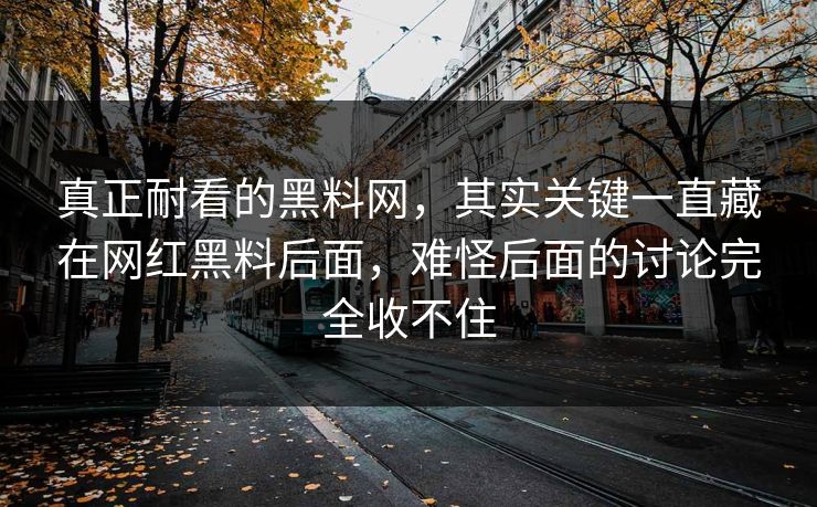 真正耐看的黑料网，其实关键一直藏在网红黑料后面，难怪后面的讨论完全收不住