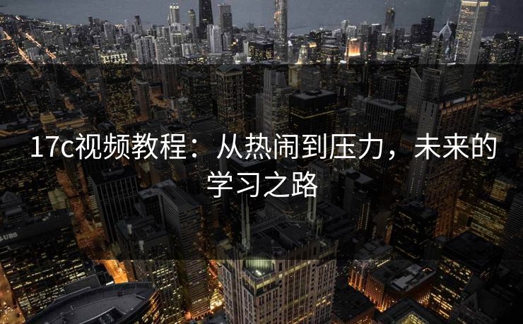 <strong>17C</strong>视频教程：从热闹到压力，未来的学习之路