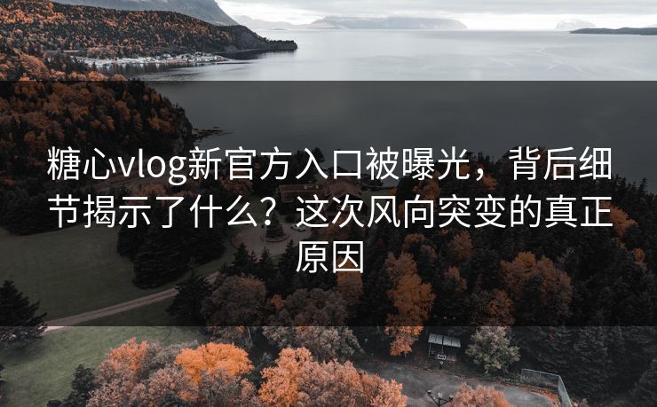 糖心vlog新官方入口被曝光，背后细节揭示了什么？这次风向突变的真正原因