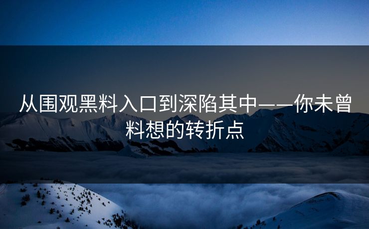 从围观黑料入口到深陷其中——你未曾料想的转折点