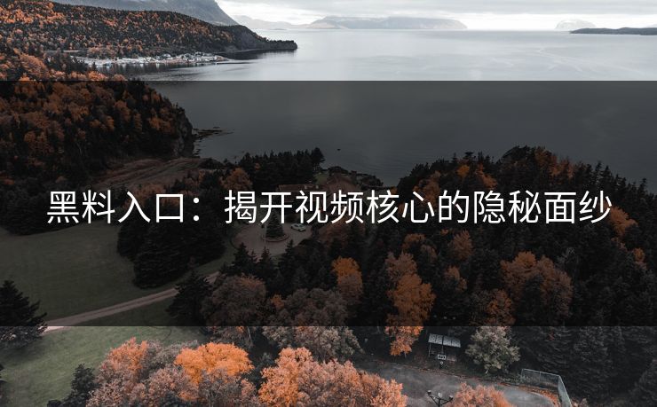 黑料入口：揭开视频核心的隐秘面纱