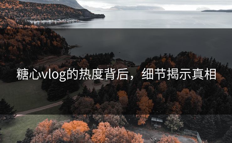 糖心vlog的热度背后，细节揭示真相